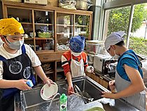 Photo_7