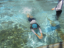 Photo_3