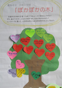 Photo_3