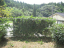 Photo_6
