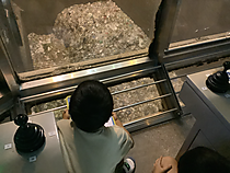 Photo_2
