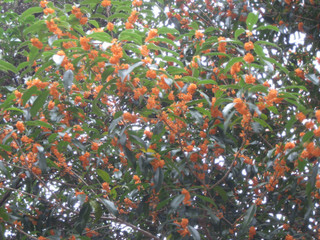 20251105090427001_r 20251105090427001_r