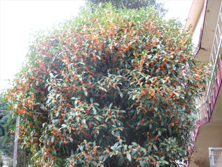 20251105090516003_r 20251105090516003_r