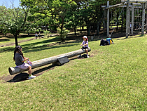 Photo_4
