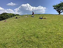 Photo_8