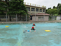 Img_5987