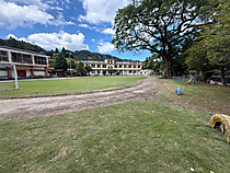 04
