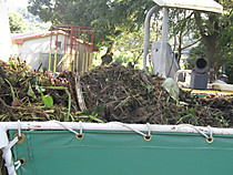Img_3280_2 Img_3280_2